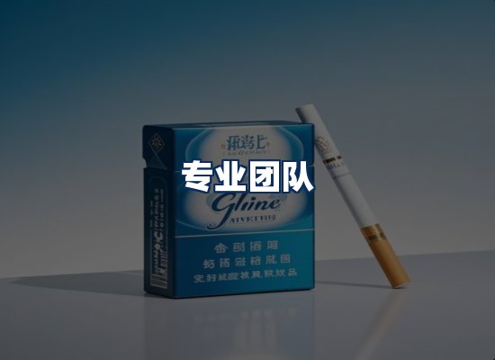 专业团队